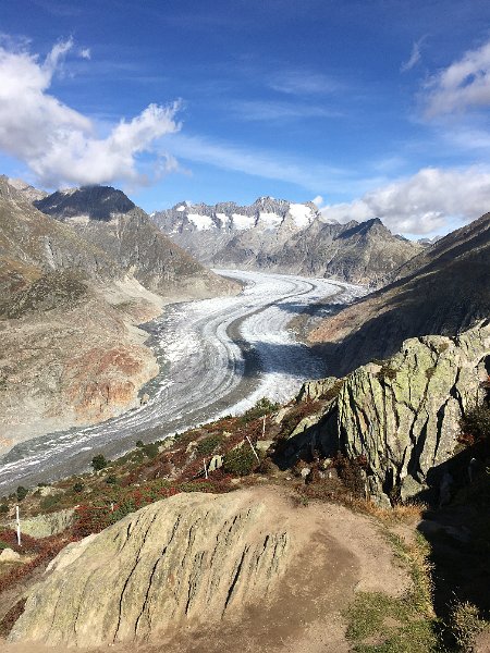 IMG_9122.JPG - Aletschgletscher von der Moosfluh aus