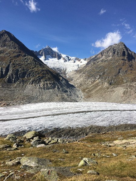 IMG_9146.JPG - Aletschhorn