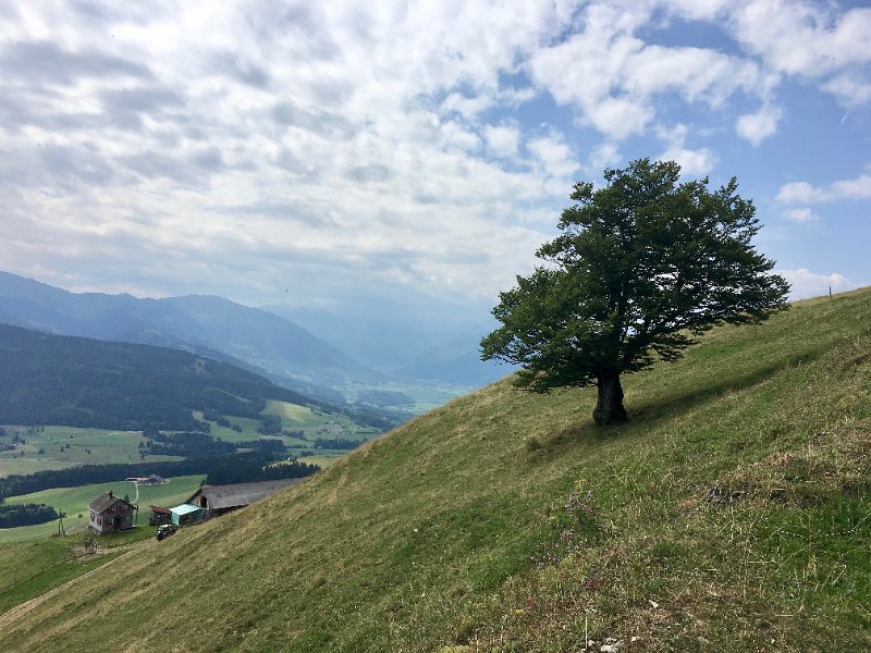 IMG_5917.jpg - Blick Richtung Glarnerland