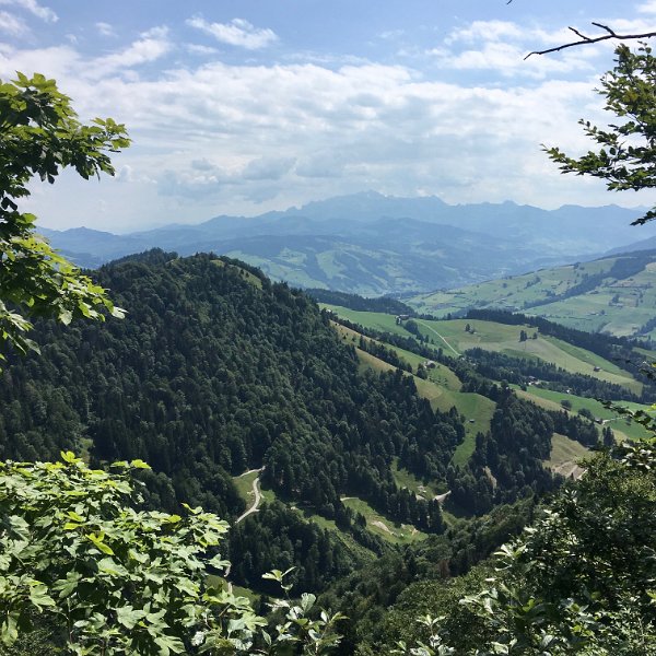 IMG_5923.jpg - Toggenburg