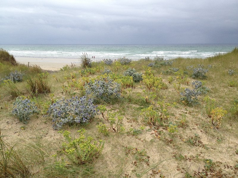 IMG_2091.JPG - Ste-Barbe: Dunes