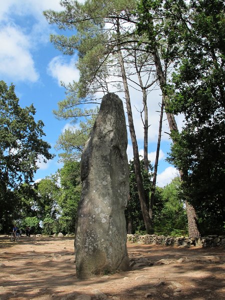 IMG_7279.jpg - Menhir  - � M. Wenger