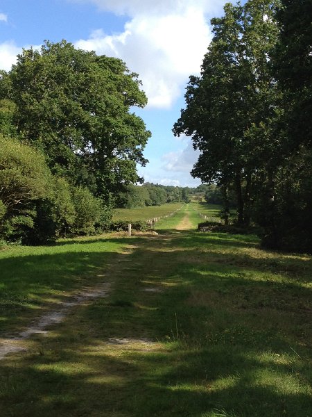 IMG_1922.jpg - Reitweg