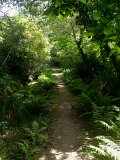 IMG_1937