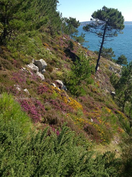 IMG_1744.jpg - Landes