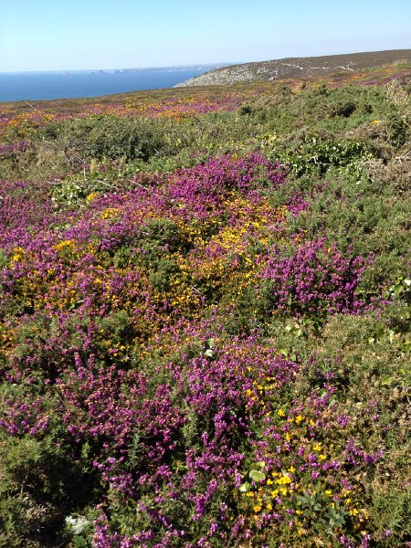 IMG_1786.jpg - Cap de la Ch�vre 