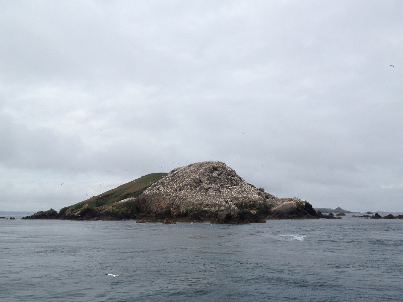 IMG_1410.JPG - Ile Rouzic