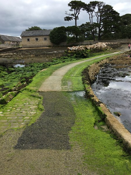 IMG_1366.jpg - Ile Berder (Larmor-Baden)