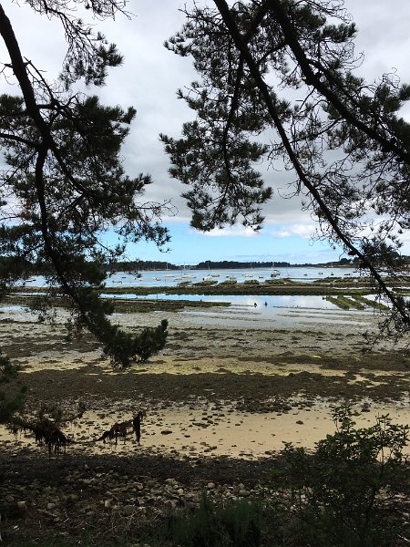 IMG_1369.jpg - Ile Berder (Larmor-Baden)