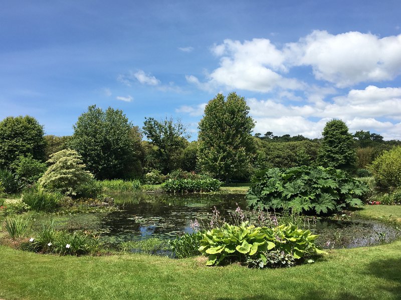 IMG_1458.jpg - Jardin botanique de Cornouaille (Combrit)