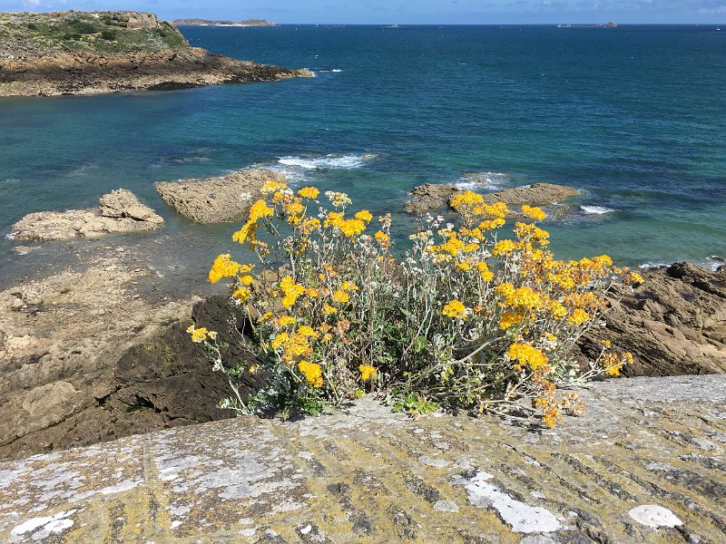 IMG_2100.jpg - Saint-Malo