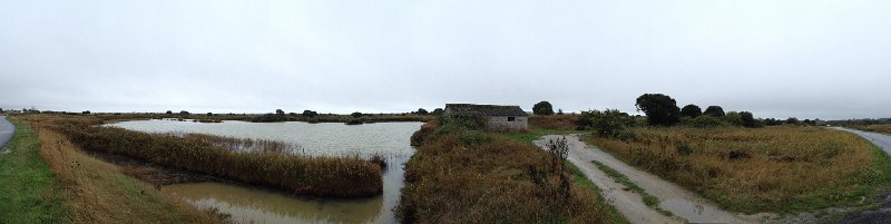 Guerande.jpg - Pr�s de Gu�rande
