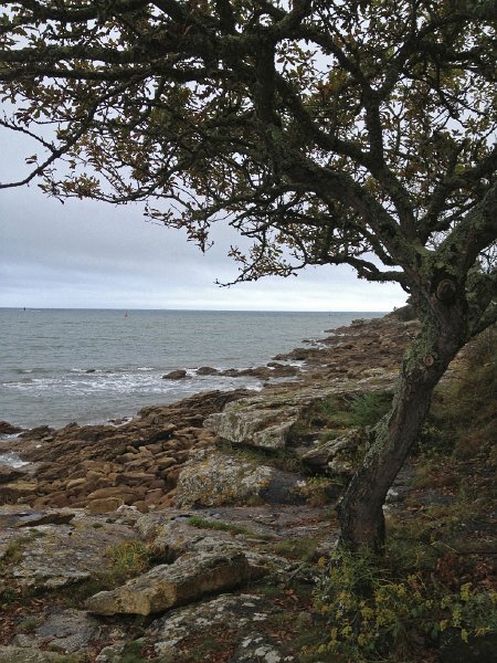 MarineBenodet2.jpg - Sainte-Marine