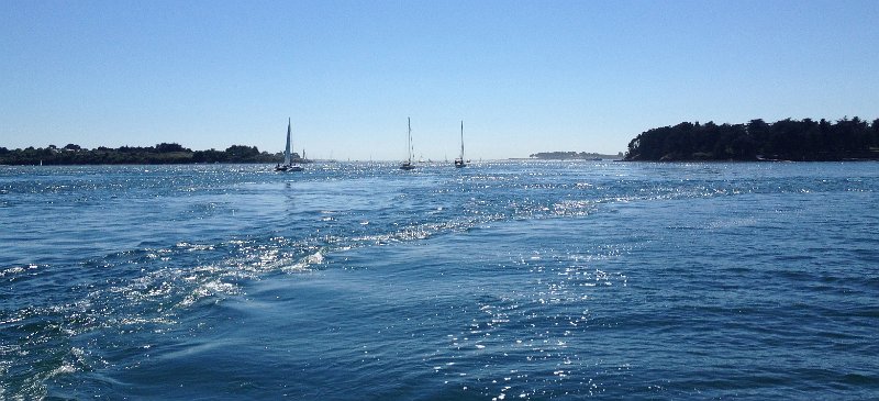 IMG_4037.jpg - Golfe de Morbihan