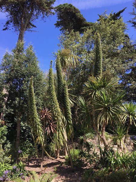 IMG_3698.jpg - Jardin Georges Delaselle