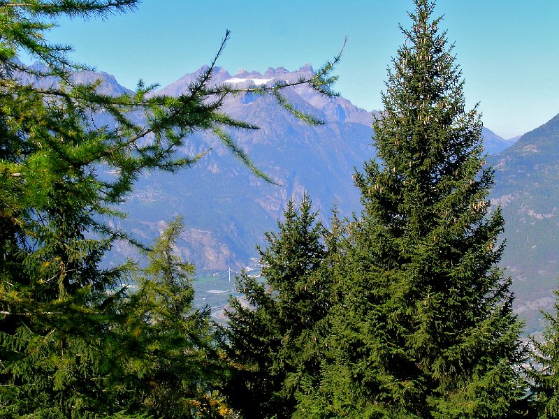 DSCN0603.jpg - Dents du Midi