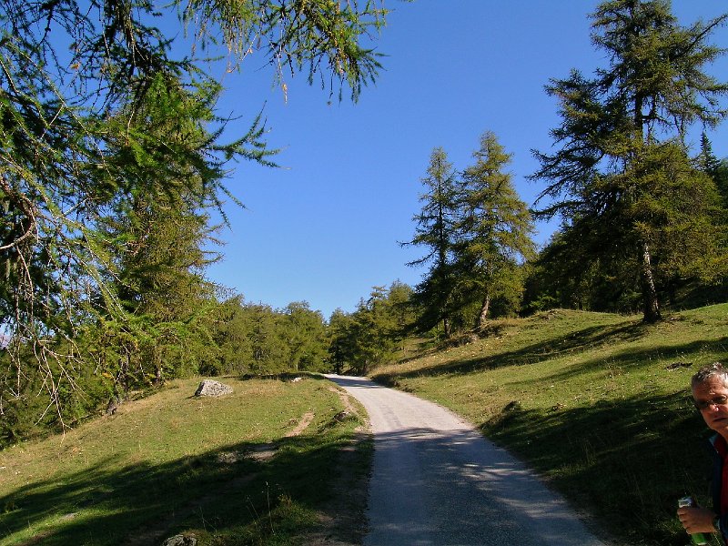 DSCN0607.jpg - Alpage du Tronc