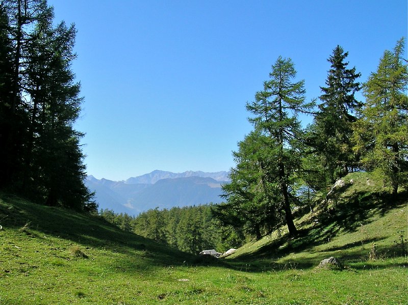 DSCN0613.jpg - Alpage du Tronc, Blick nach Westen