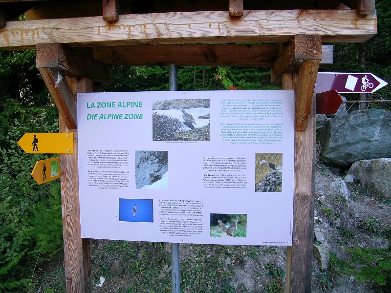 DSCN0632.jpg - Einstieg zur "Ancien Bisse de Saxon"