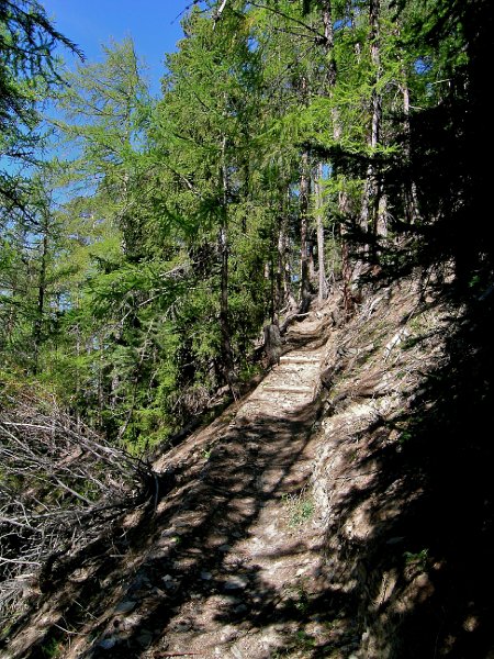 DSCN0639.jpg - Steiler Aufstieg aus dem Torent des Croix (60 H�henmeter) hinauf auf 1572m zur eigentlichen "Bisse de Saxon"
