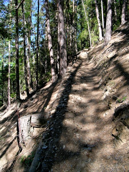 DSCN0640.jpg - und noch weiter rauf