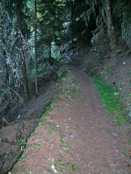 DSCN0669.jpg - Bisse de Saxon