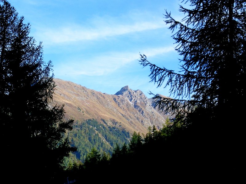 DSCN0694.jpg - Blick zum Gipfel des "Le Fou" und "Mont Gond"