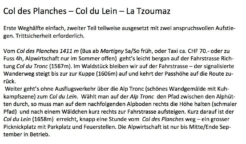 tagebuch_wallis_1_1.jpg - Einstieg