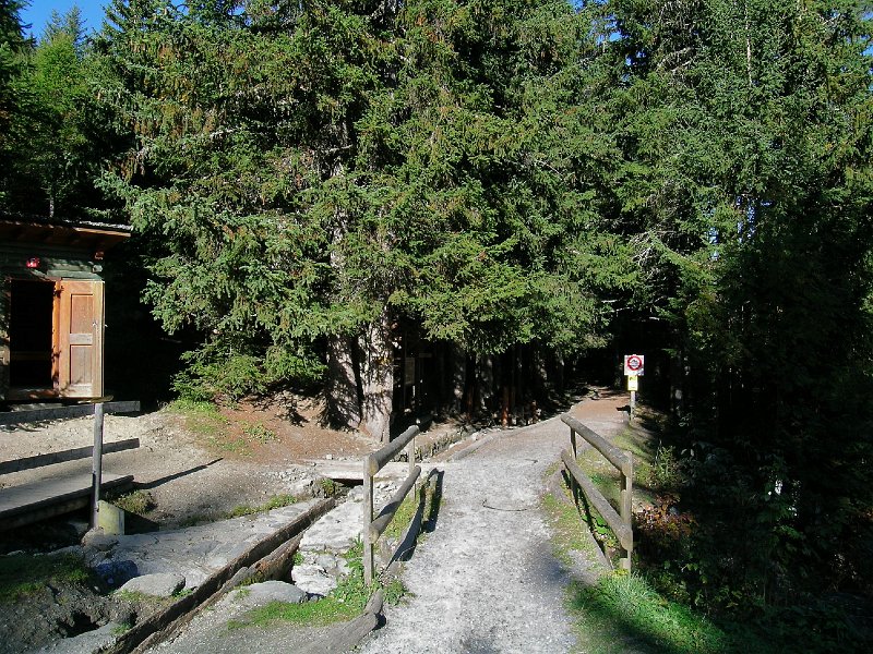 DSCN0698.jpg - Instandgestellte Bisse bei Tallay