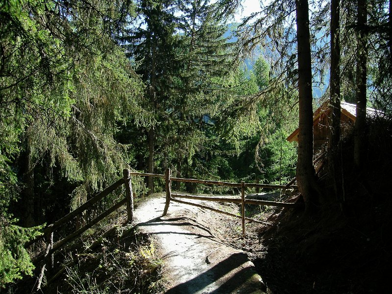 DSCN0704.jpg - For�t Noire