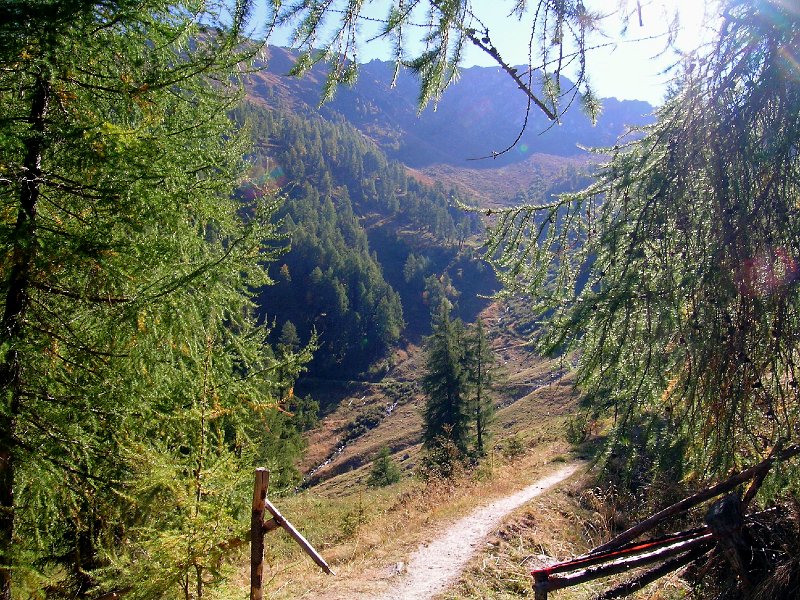 DSCN0706.jpg - Alp "Le Rosey"