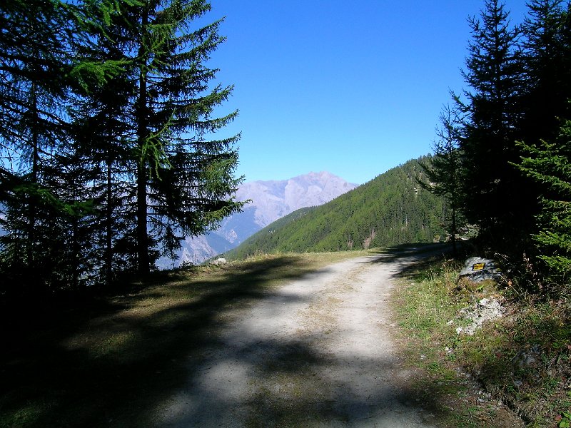 DSCN0713.jpg - Vor La Dzora