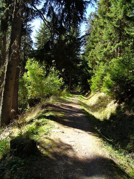 DSCN0728.jpg - Bisse de Saxon - immer breiter und bequemer