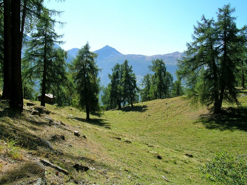 DSCN0731.jpg - Bei Les Praz / Is�rables