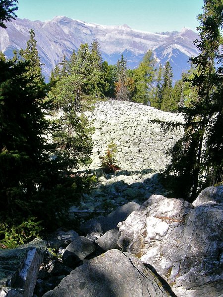 DSCN0736.jpg - Lapie de Zerjona