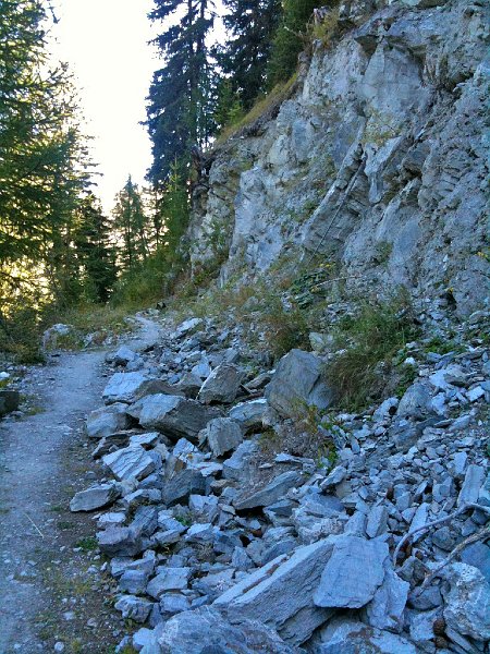 IMG_0649.jpg - Felssturzgebiet im "For�t du Clou"