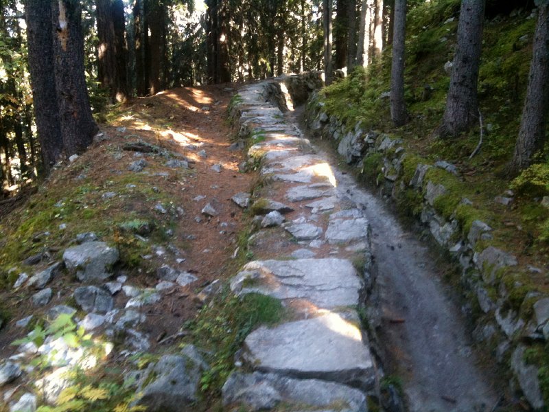 IMG_0655.jpg - Bisse de Saxon oberhalb von Nendaz