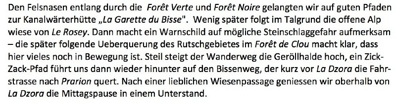 tagebuch_wallis_2_2.jpg - Zuerst noch einmal wild....