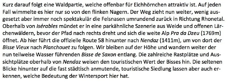 tagebuch_wallis_2_3.jpg - Eichh�rnchen und L�rchenw�lder