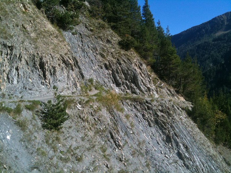 IMG_0694.jpg - Bei Branche