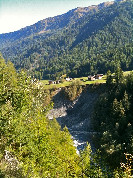 IMG_0695.jpg - Branche