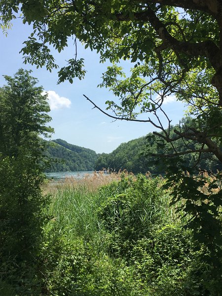 IMG_3297.jpg - Rheinweg