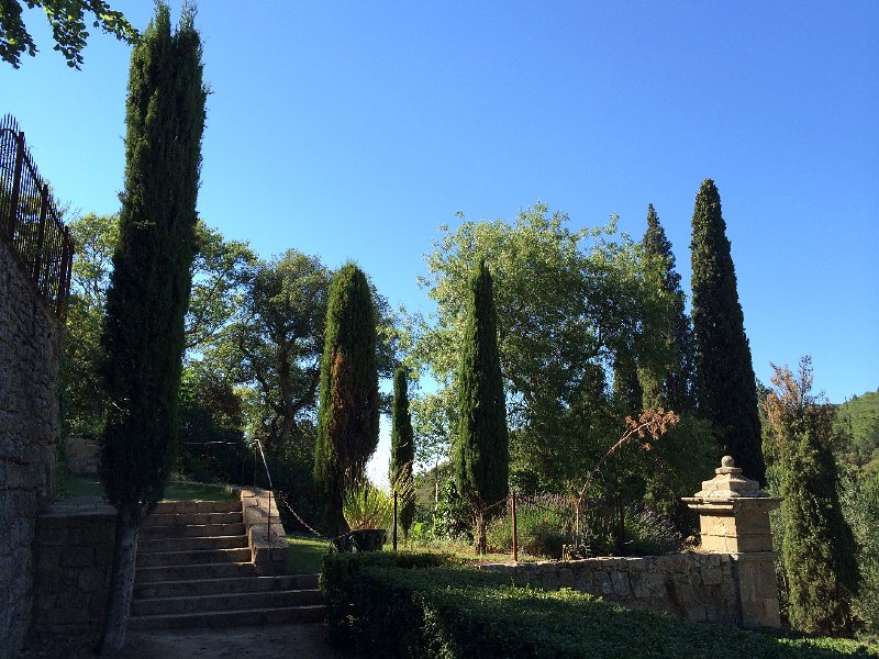 IMG_7034.jpg - Jardins