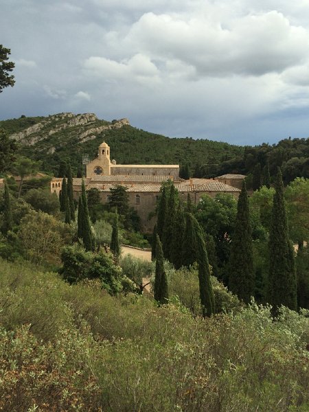 IMG_7238.jpg - Abbaye de Fontfroide