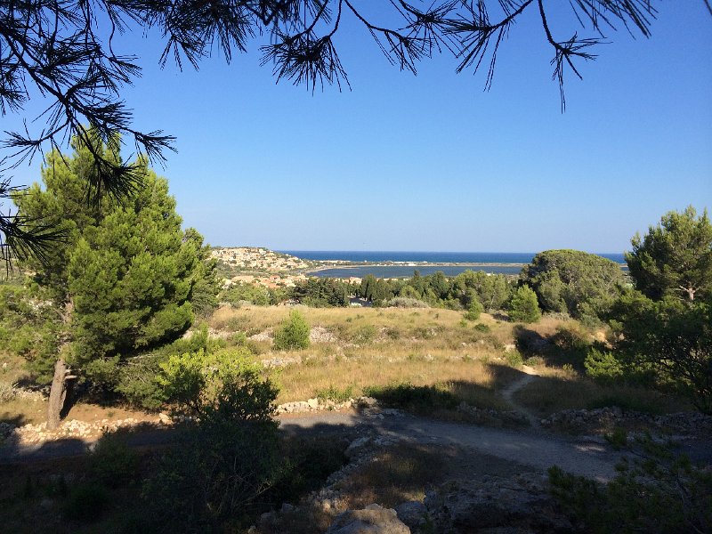 IMG_7435.jpg - Leucate Plage