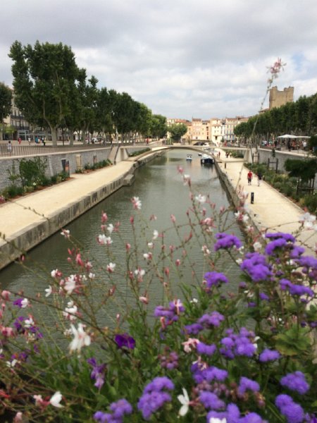 IMG_7140.jpg - Canal de la Robine