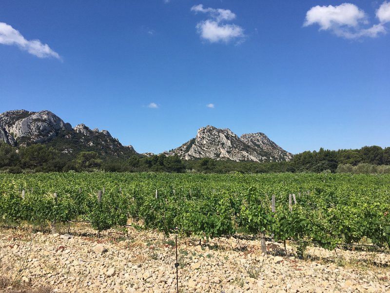IMG_8558.JPG - Alpilles