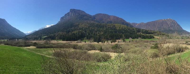 IMG_5504.jpg - Natur pur