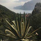 IMG_5381