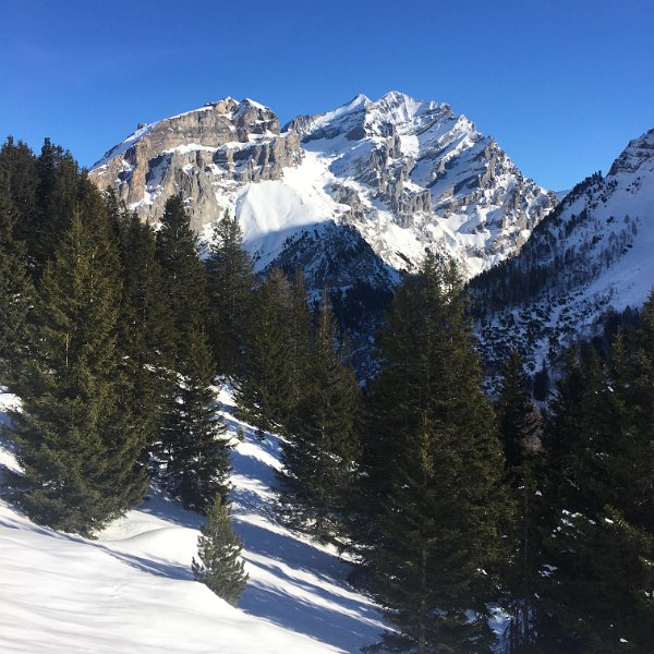 IMG_9607 (Bearbeitet).JPG - Doldenhorn